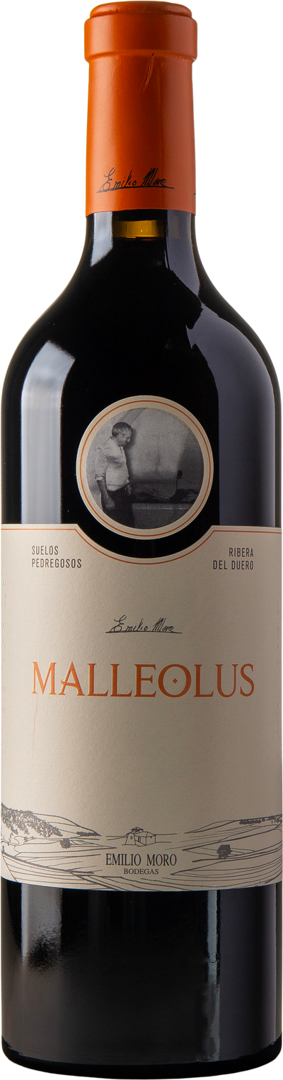 Malleolus Ribera del Duero