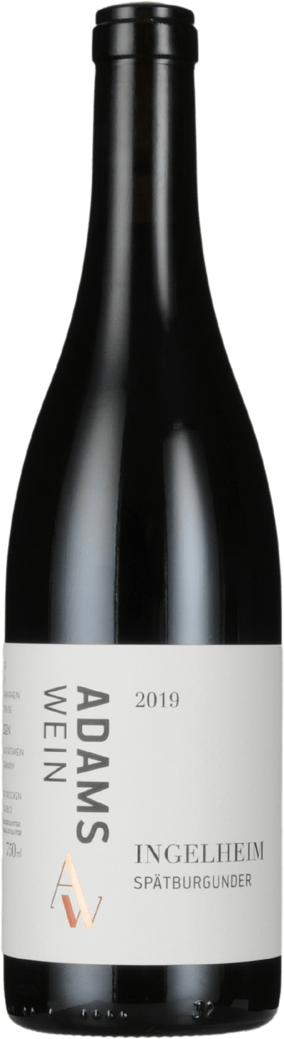 Spätburgunder Ingelheim