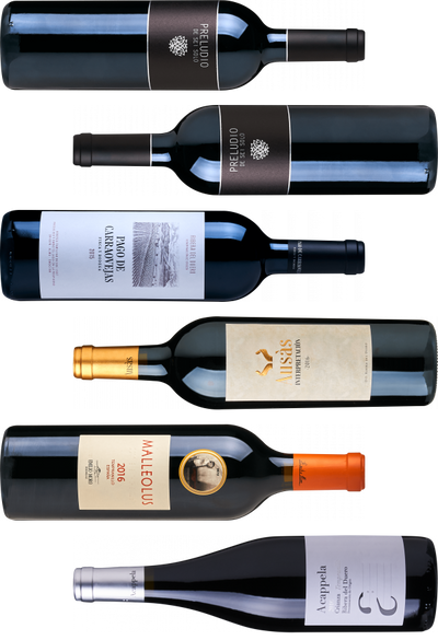 Smagekasse - Herlig Ribera del Duero