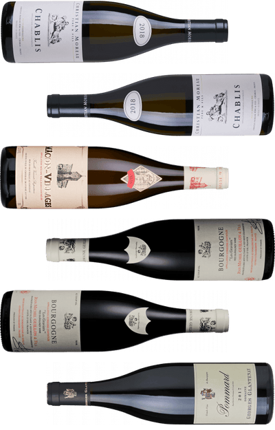 Smagekasse - Bourgogne fra nord til syd.