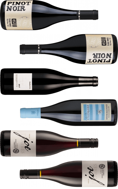 Smagekasse - Pinot Noir fra hele verden