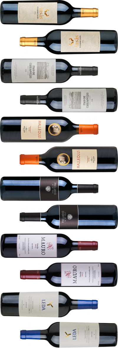 Smagekasse - Vintervin fra Ribera del Duero
