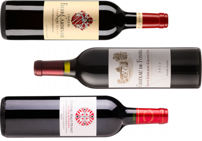 Smagekasse - Vin for Begyndere - Bordeaux