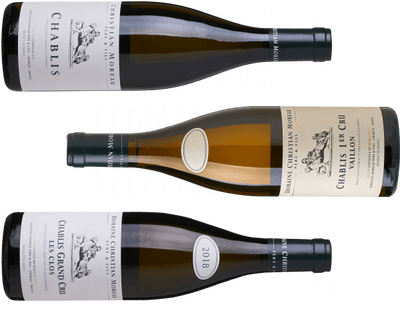 Smagekasse - Vin for Begyndere - Chablis