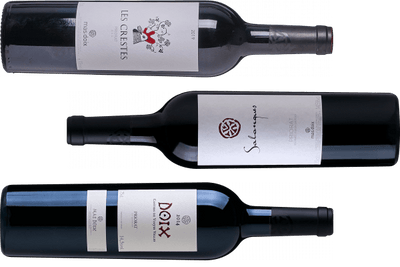 Smagekasse - Vin for Begyndere - Priorat