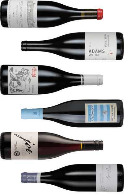 Smag på Pinot Noir