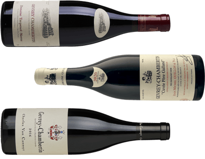 Det bedste fra Gevrey Chambertin