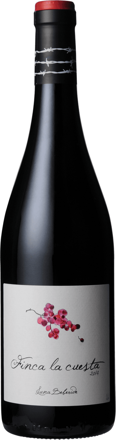 Finca la Cuesta Bierzo