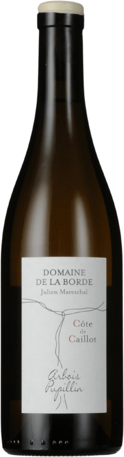 Chardonnay 