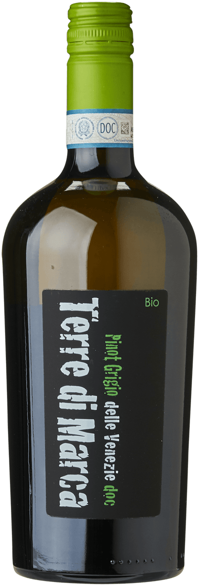 Pinot Grigio   DOC  Terre di Marca