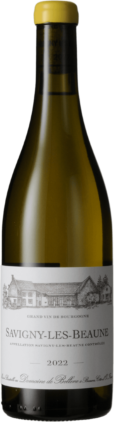 Savigny les Beaune Blanc