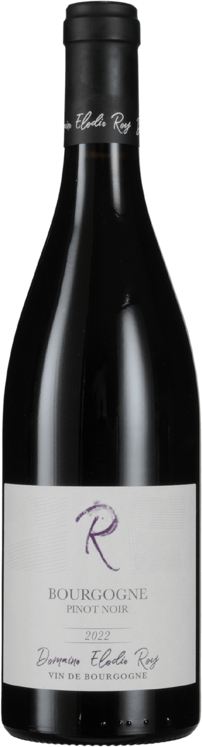 Bourgogne Pinot Noir Magnum