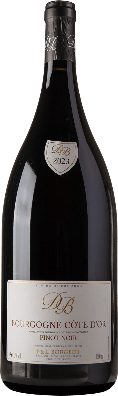 Bourgogne Pinot Noir Magnum