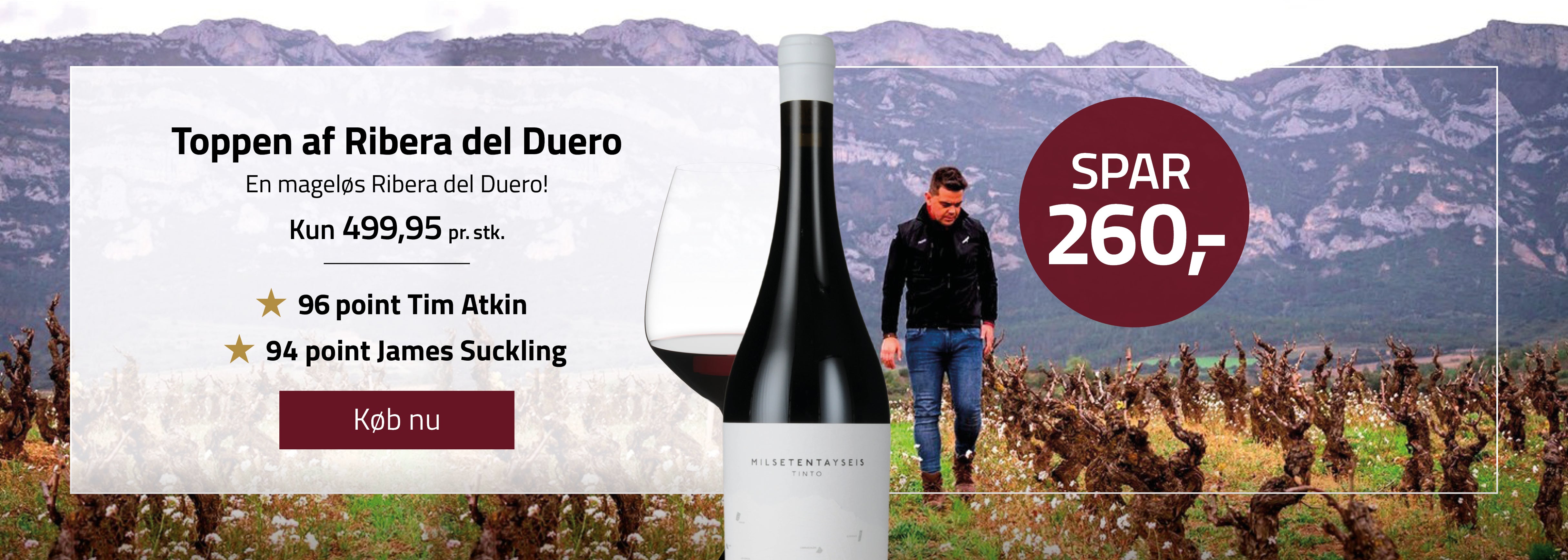 Toppen af Ribera del Duero med 96 point