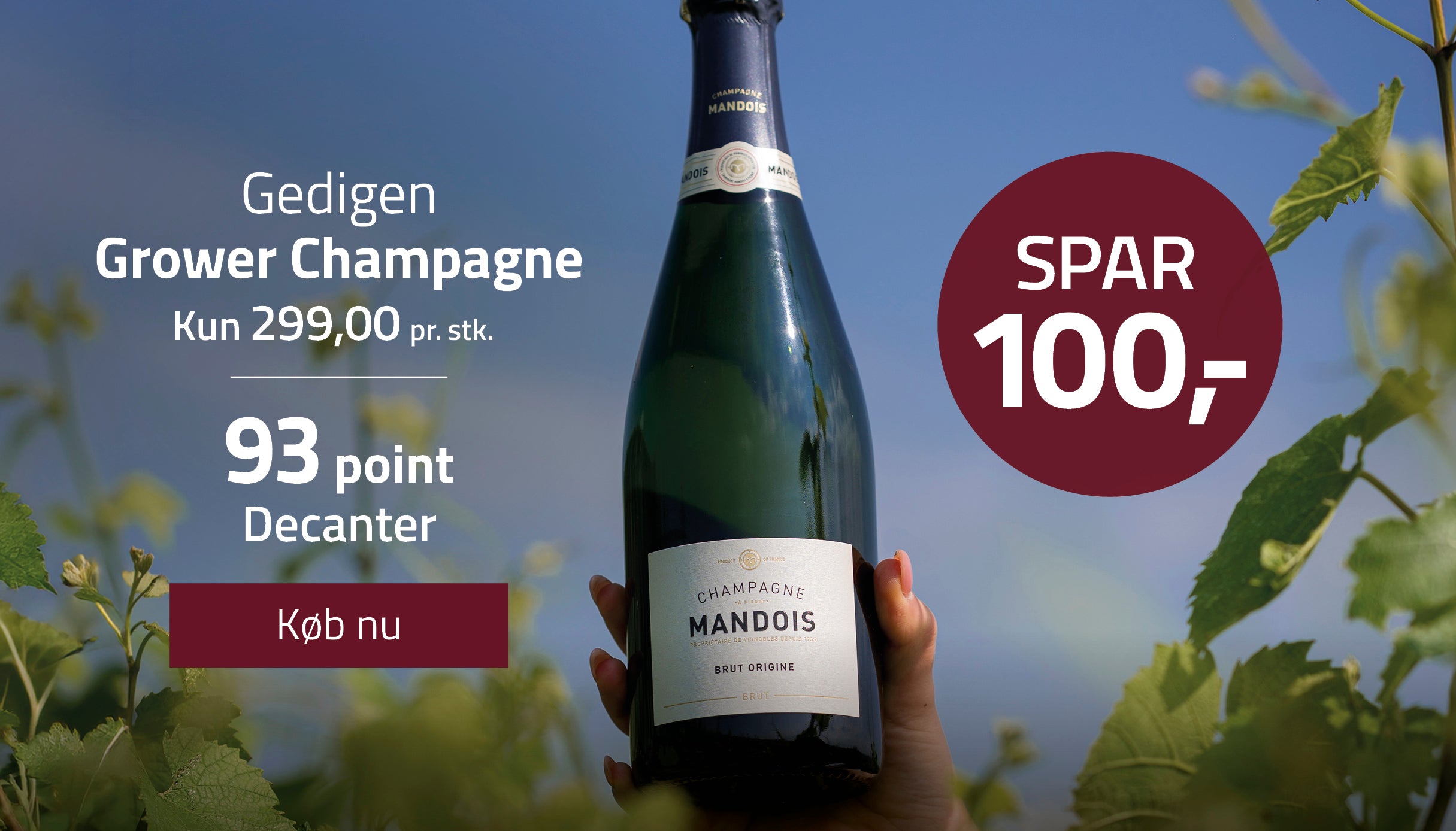 93 points Grower Champagne