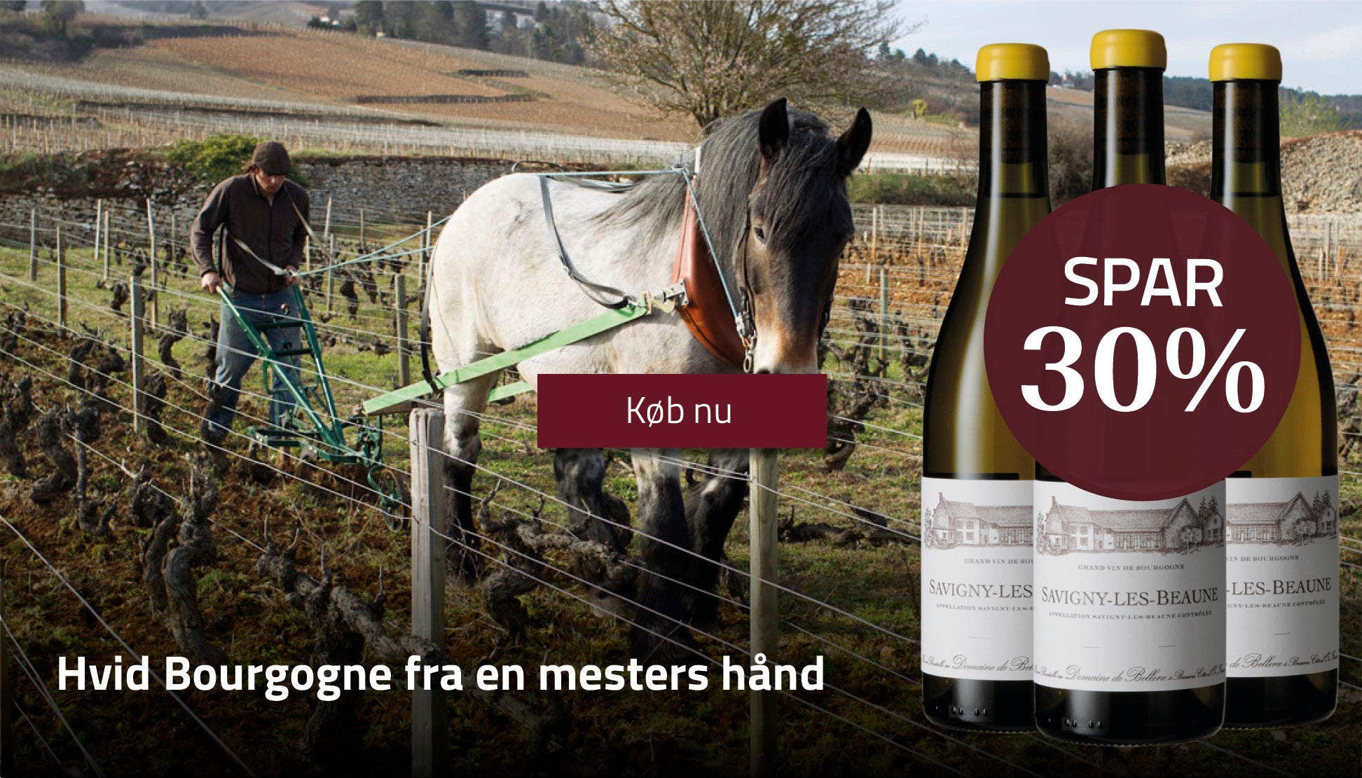 Hvid Bourgogne spar 30%